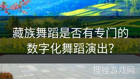 藏族舞蹈是否有专门的数字化舞蹈演出？