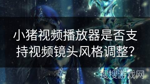 小猪视频播放器是否支持视频镜头风格调整？