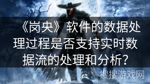 《岗央》软件的数据处理过程是否支持实时数据流的处理和分析？