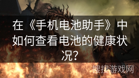 在《手机电池助手》中如何查看电池的健康状况？