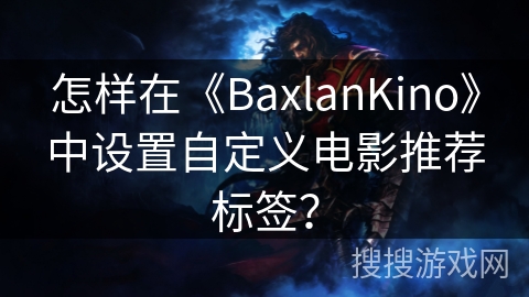 怎样在《BaxlanKino》中设置自定义电影推荐标签？