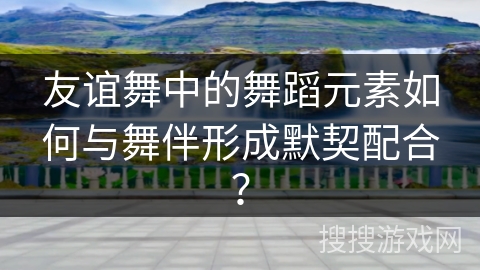 友谊舞中的舞蹈元素如何与舞伴形成默契配合？