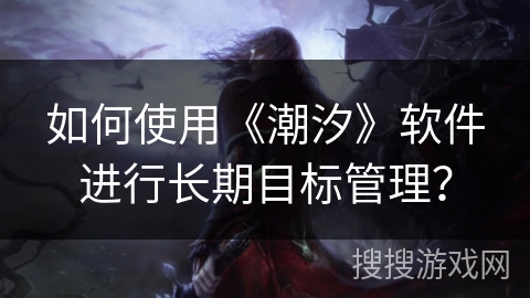 如何使用《潮汐》软件进行长期目标管理？