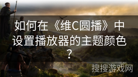 如何在《维C圆播》中设置播放器的主题颜色？
