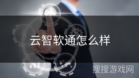 云智软通怎么样