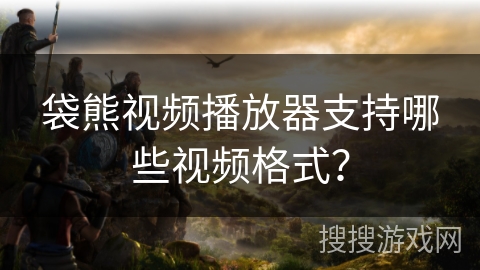 袋熊视频播放器支持哪些视频格式？