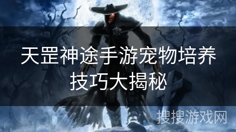 天罡神途手游宠物培养技巧大揭秘