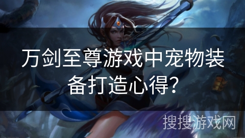 万剑至尊游戏中宠物装备打造心得？