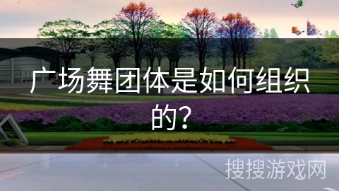 广场舞团体是如何组织的？
