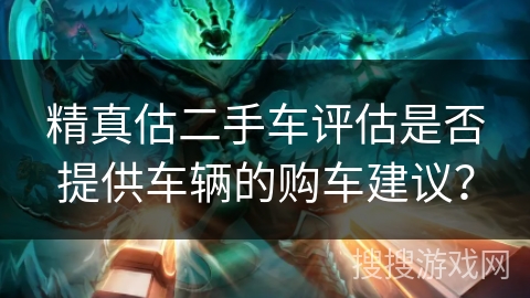 精真估二手车评估是否提供车辆的购车建议？