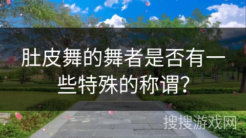 肚皮舞的舞者是否有一些特殊的称谓？