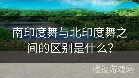 南印度舞与北印度舞之间的区别是什么？