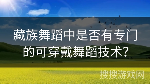 藏族舞蹈中是否有专门的可穿戴舞蹈技术？