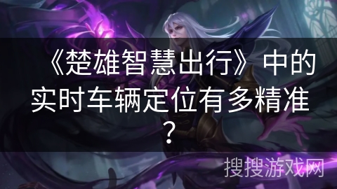 《楚雄智慧出行》中的实时车辆定位有多精准？