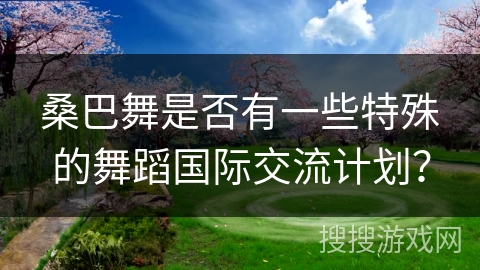 桑巴舞是否有一些特殊的舞蹈国际交流计划？