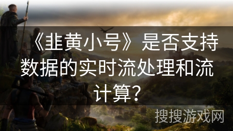 《韭黄小号》是否支持数据的实时流处理和流计算? 《韭黄小号》是否支持数据的实时流处理和流计算?
