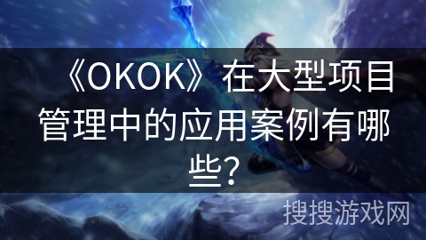 《OKOK》在大型项目管理中的应用案例有哪些？