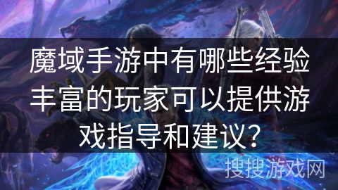 魔域手游中有哪些经验丰富的玩家可以提供游戏指导和建议？