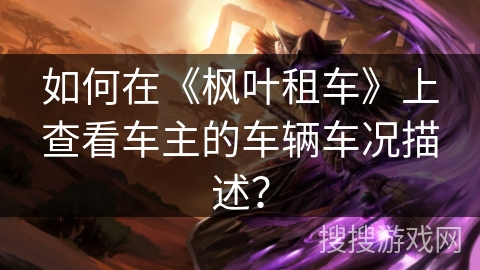 如何在《枫叶租车》上查看车主的车辆车况描述？