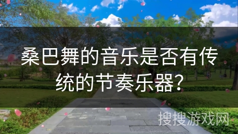 桑巴舞的音乐是否有传统的节奏乐器？