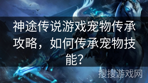 神途传说游戏宠物传承攻略，如何传承宠物技能？