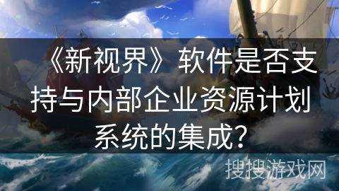 《新视界》软件是否支持与内部企业资源计划系统的集成？
