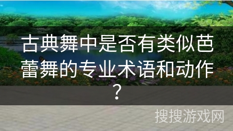 古典舞中是否有类似芭蕾舞的专业术语和动作？