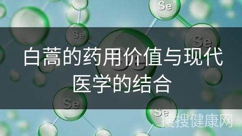 白蒿的药用价值与现代医学的结合