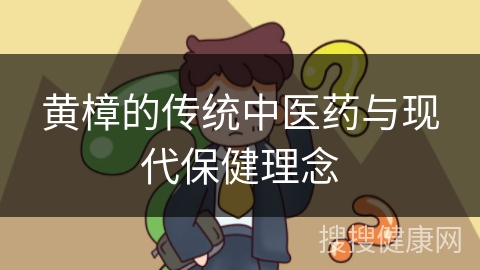 黄樟的传统中医药与现代保健理念