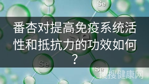 番杏对提高免疫系统活性和抵抗力的功效如何？