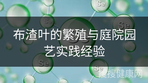 布渣叶的繁殖与庭院园艺实践经验