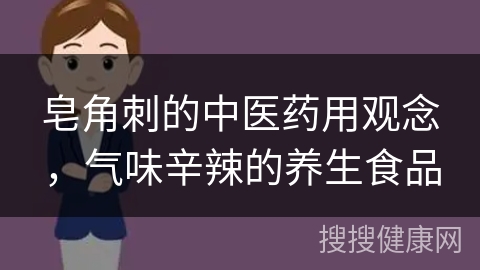 皂角刺的中医药用观念，气味辛辣的养生食品