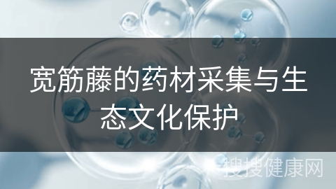 宽筋藤的药材采集与生态文化保护