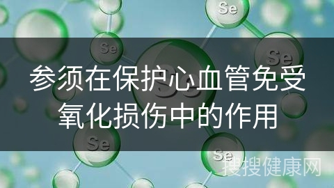 参须在保护心血管免受氧化损伤中的作用