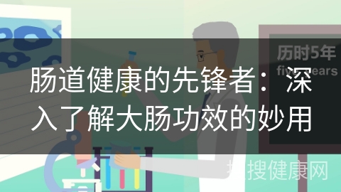 肠道健康的先锋者：深入了解大肠功效的妙用