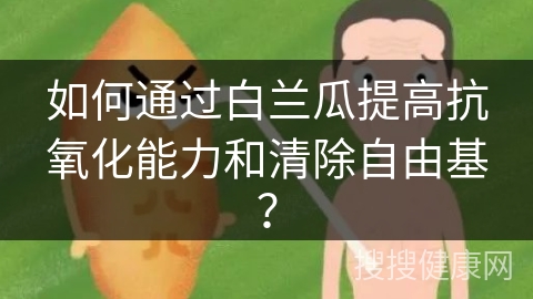 如何通过白兰瓜提高抗氧化能力和清除自由基？