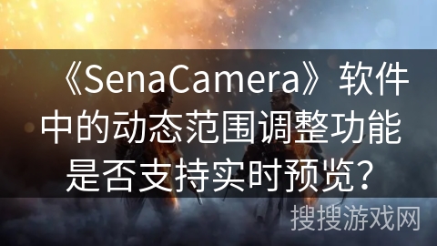 《SenaCamera》软件中的动态范围调整功能是否支持实时预览？