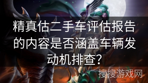 精真估二手车评估报告的内容是否涵盖车辆发动机排查？