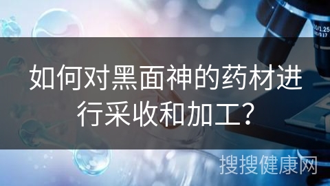 如何对黑面神的药材进行采收和加工？