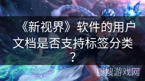 《新视界》软件的用户文档是否支持标签分类？