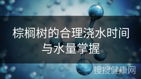 棕榈树的合理浇水时间与水量掌握