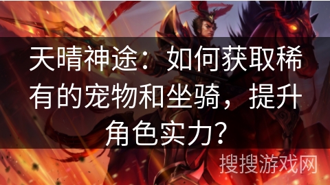 天晴神途：如何获取稀有的宠物和坐骑，提升角色实力？