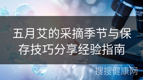 五月艾的采摘季节与保存技巧分享经验指南