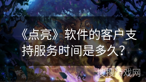 《点亮》软件的客户支持服务时间是多久？
