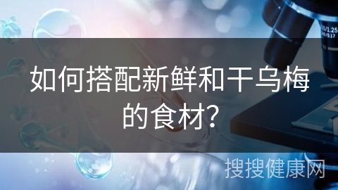 如何搭配新鲜和干乌梅的食材？