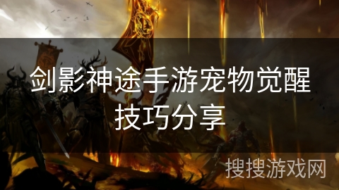 剑影神途手游宠物觉醒技巧分享