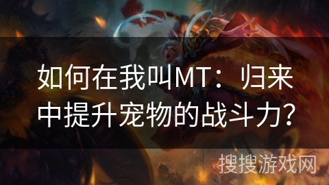如何在我叫MT：归来中提升宠物的战斗力？