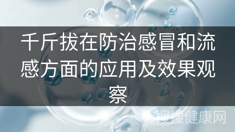 千斤拔在防治感冒和流感方面的应用及效果观察