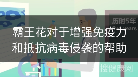 霸王花对于增强免疫力和抵抗病毒侵袭的帮助