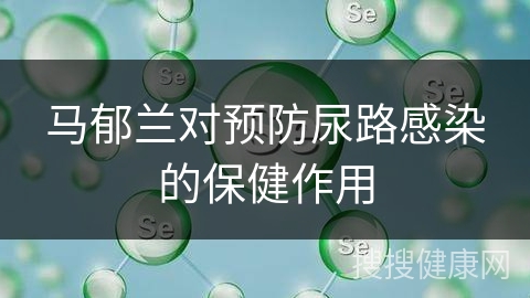 马郁兰对预防尿路感染的保健作用